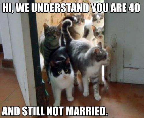 hi-we-understand-you-are-not-married