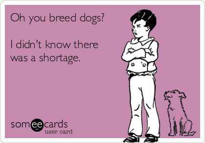 oh-you-breed-dogs-i-didnt-know-there-was-a-shortage-3c5bc